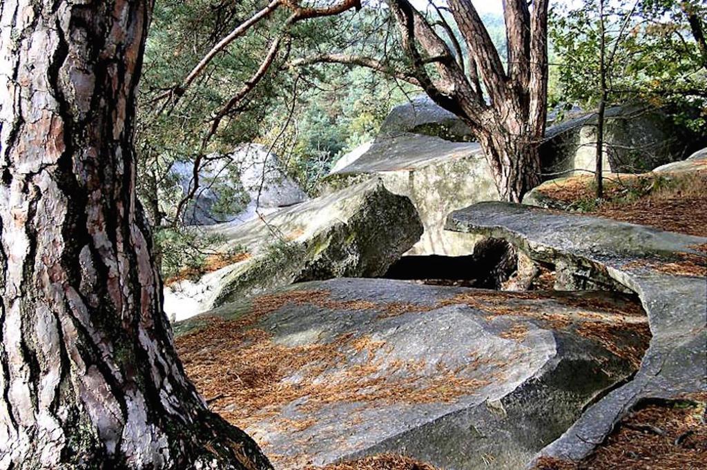 Fontainebleau Sweet Home エクステリア 写真